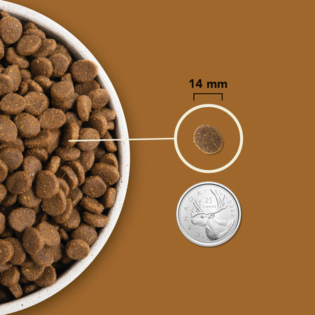 Acana - Highest Protein - Ranchlands (Dry Dog Food)