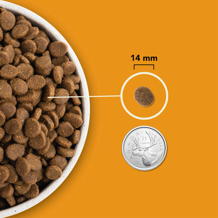 Acana - Highest Protein - Wild Prairie (Dry Dog Food)