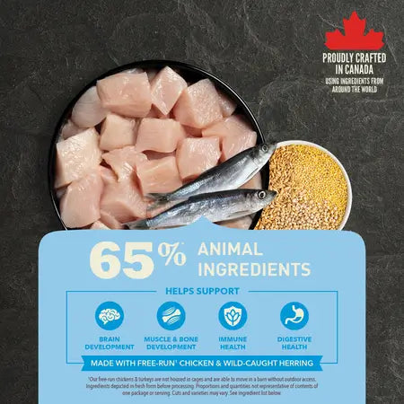 Acana - Healthy Grains - Puppy Recipe (Dry Dog Food)