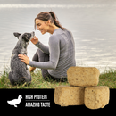 Orijen - Duck Freeze-Dried Dog Treats (For Dogs)