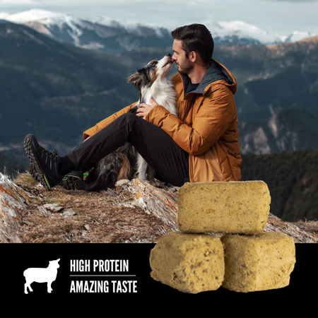Orijen - Lamb Freeze-Dried Dog Treats (For Dogs)