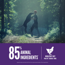 ORIJEN Large Breed Adult 85% animal ingredients