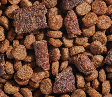 Open Farm - Epic Blend - Salmon & Superfood Recipe (For Dogs)