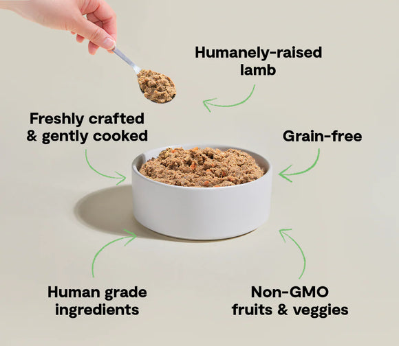 Open Farm -Pasture-Raised Lamb Gently Cooked Recipe (For Dogs) - Frozen Product