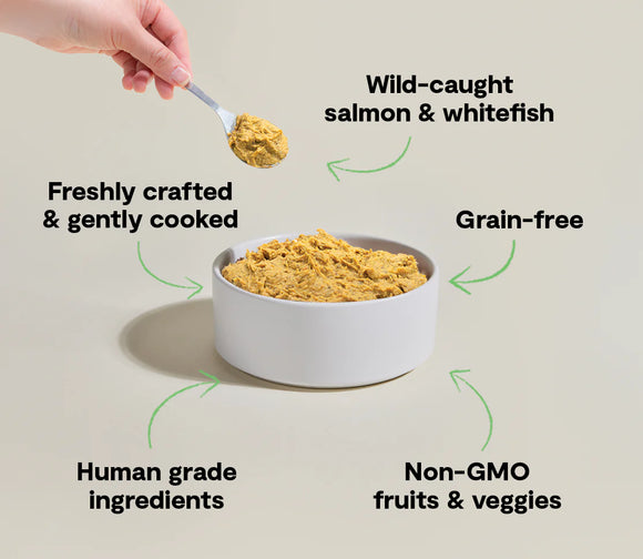 Open Farm - Wild-Caught Fish Gently Cooked Dog Food - Frozen Product