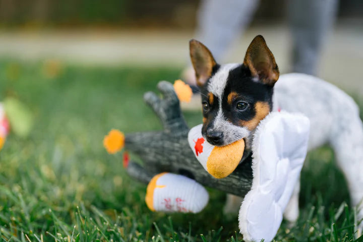 P.L.A.Y - Barking Up The Maple Tree (Dog Toys)