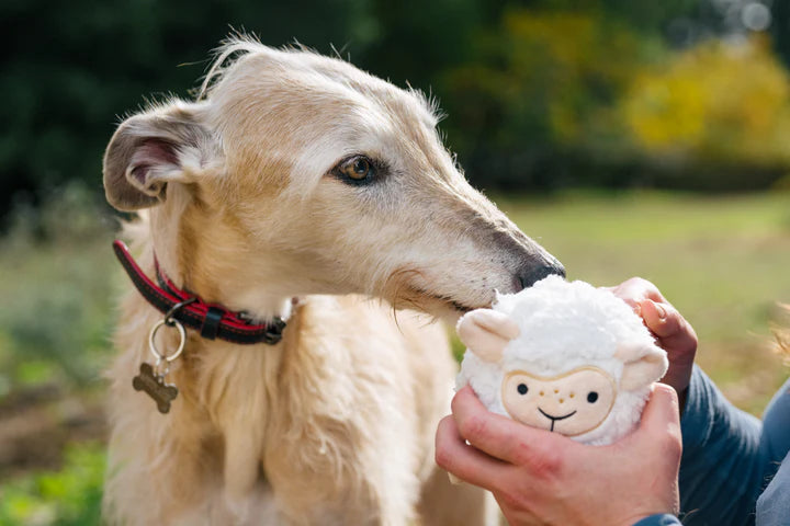 P.L.A.Y - Barnyard Buddies - Sheep (Dog Toys)