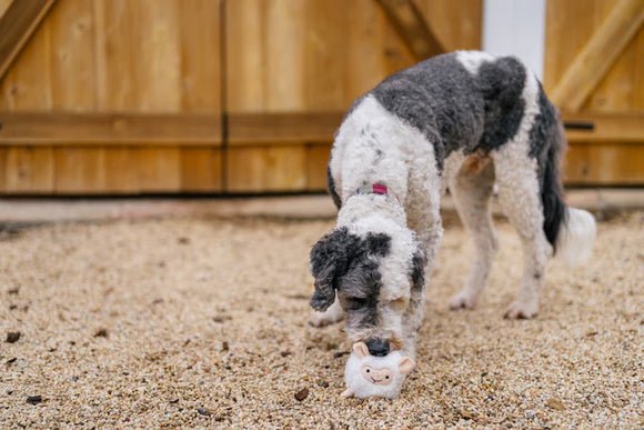 P.L.A.Y - Barnyard Buddies - Sheep (Dog Toys)