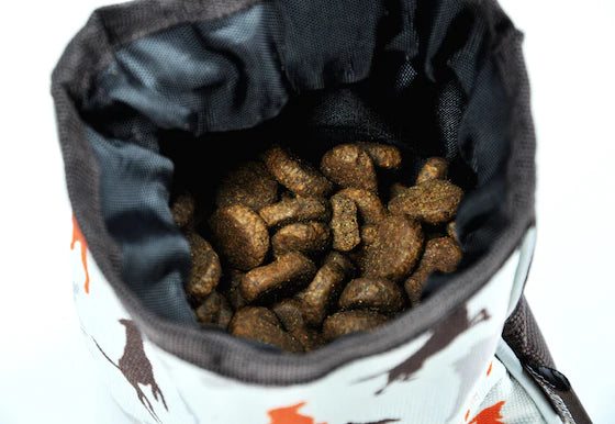 P.L.A.Y | Compact Training Pouch | Dog Training Supply