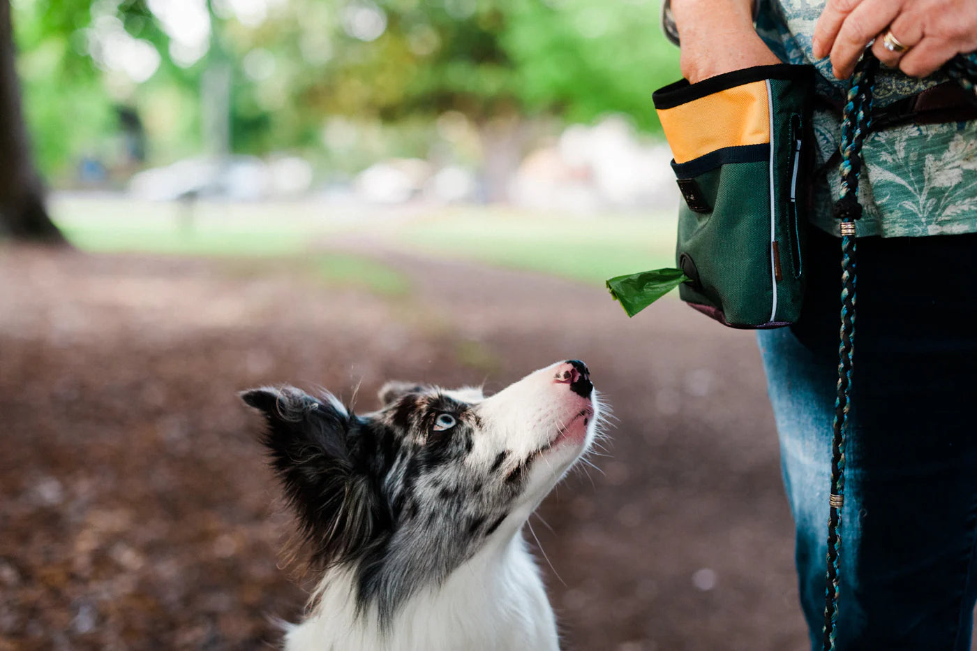 P.L.A.Y | Deluxe Training Pouch | Dog Training Supply