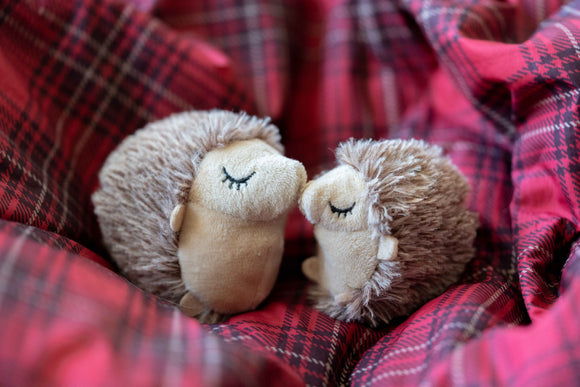 P.L.A.Y - Feline Frenzy Mama and Chip Toy Set (For Cats)