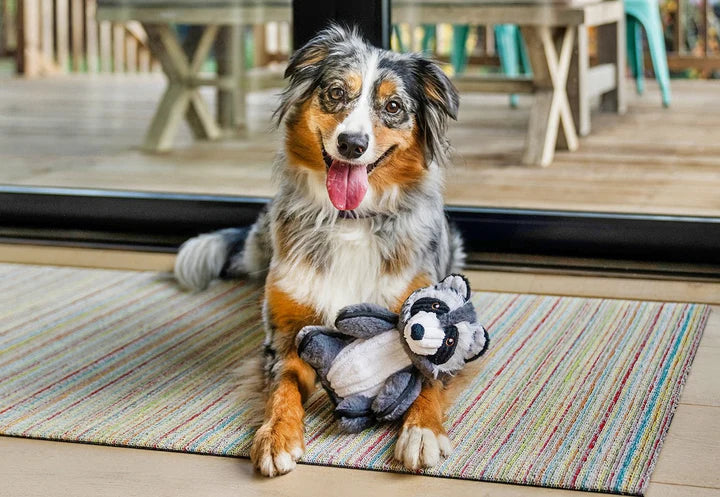P.L.A.Y - Forest Friends - Robby the Raccoon (Dog Toys)