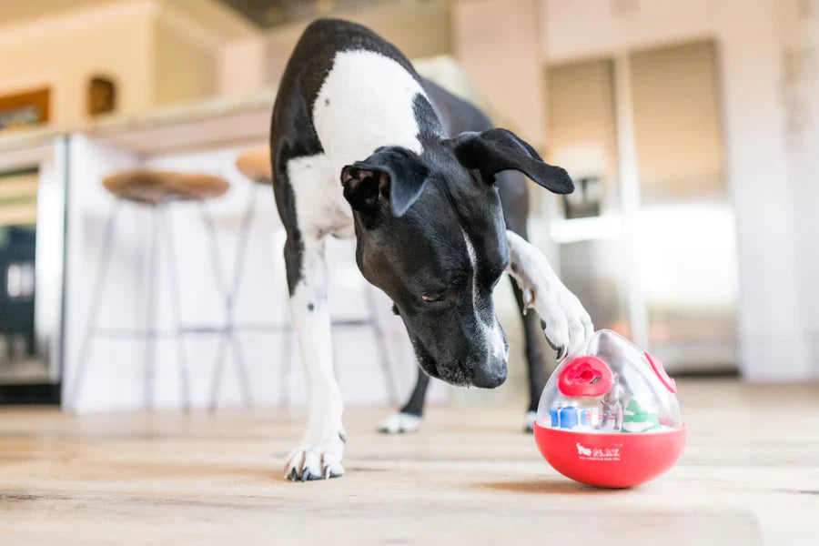 P.L.A.Y -   Holiday Wobble Ball 2.0 (Dog Toy)