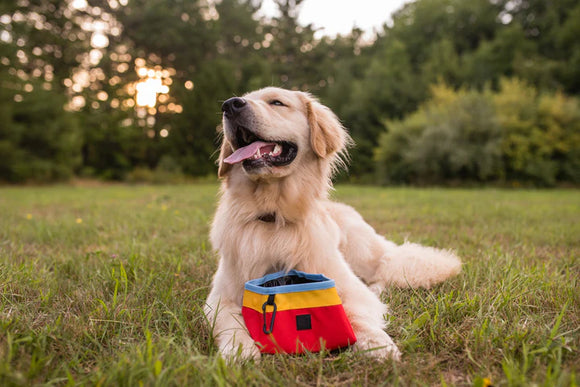 P.L.A.Y - Landscape Series Travel Bowl (For Dogs)