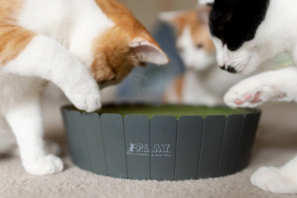 P.L.A.Y - Peek-a-boo Mouse Interactive Cat Toy - (For Cats)