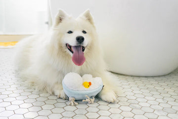 P.L.A.Y - Splish Splash Rub-a-dub-Tub (Dog Toys)