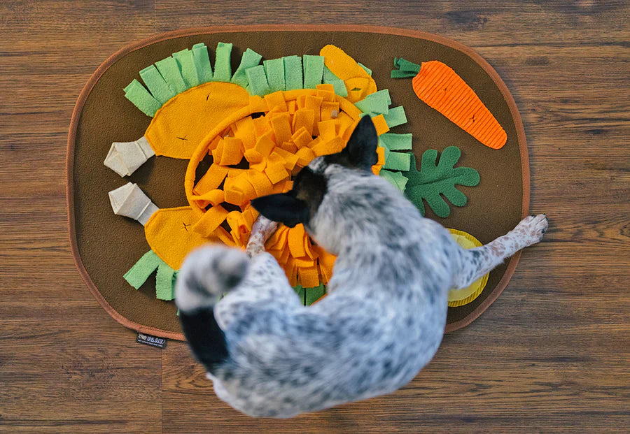 P.L.A.Y -  Thanksgiving Snuffle Mat (Dog Toy)