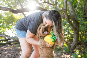P.L.A.Y - Tropical Paradise Collection - Paws Up Pineapple (Dog Toys)