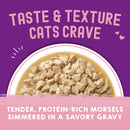 Stella & Chewy's Morsels'N'Gravy Chicken & Salmon pouch