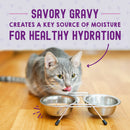 Stella & Chewy's Morsels'N'Gravy Chicken & Chicken Liver pouch