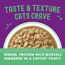 Stella & Chewy's Morsels'N'Gravy Salmon & Tuna pouch