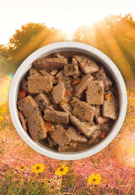 Acana - Premium Chunks - Beef Recipe in Bone Broth (Wet Dog Food)