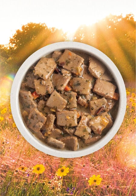 Acana - Premium Chunks - Duck Recipe in Bone Broth (Wet Dog Food)