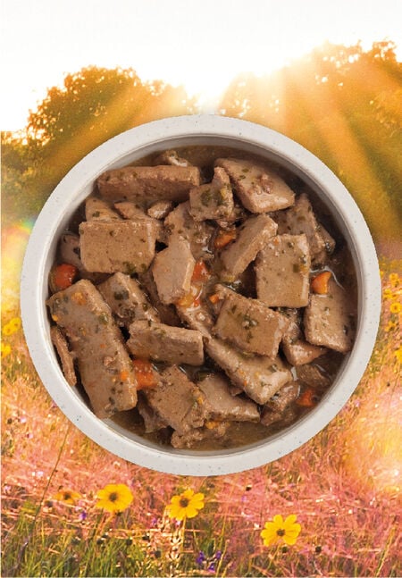 Acana - Premium Chunks - Lamb Recipe in Bone Broth (Wet Dog Food)