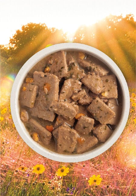 Acana - Premium Chunks - Poultry Recipe in Bone Broth (Wet Dog Food)