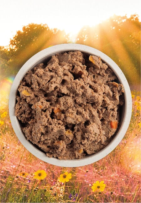Acana - Premium Pâté - Puppy Recipe in Bone Broth (Wet Dog food)