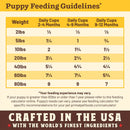 Primal - Kibble In The Raw - Puppy Chicken & Pork Recipe (Dog Food)