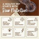 Primal - Nuggets - Freeze Dried Nuggets - Chicken & Salmon Formula (Cat Food)