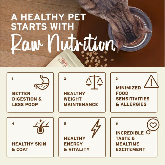 Primal - Nuggets - Freeze Dried Nuggets - Chicken & Salmon Formula (Cat Food)