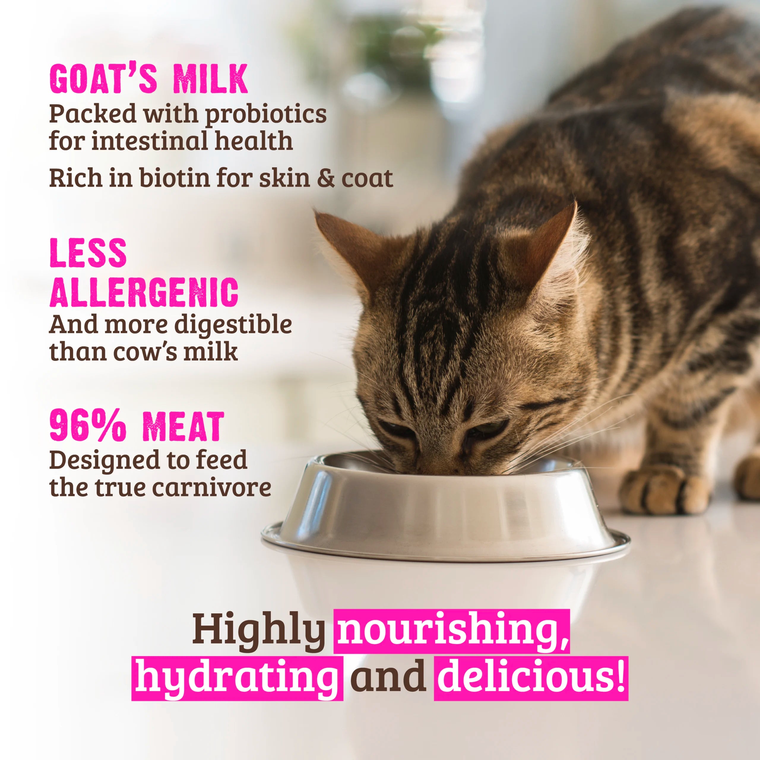 RAWZ - 96% Chicken, Chicken Liver & Goat Milk (Wet Cat Food)
