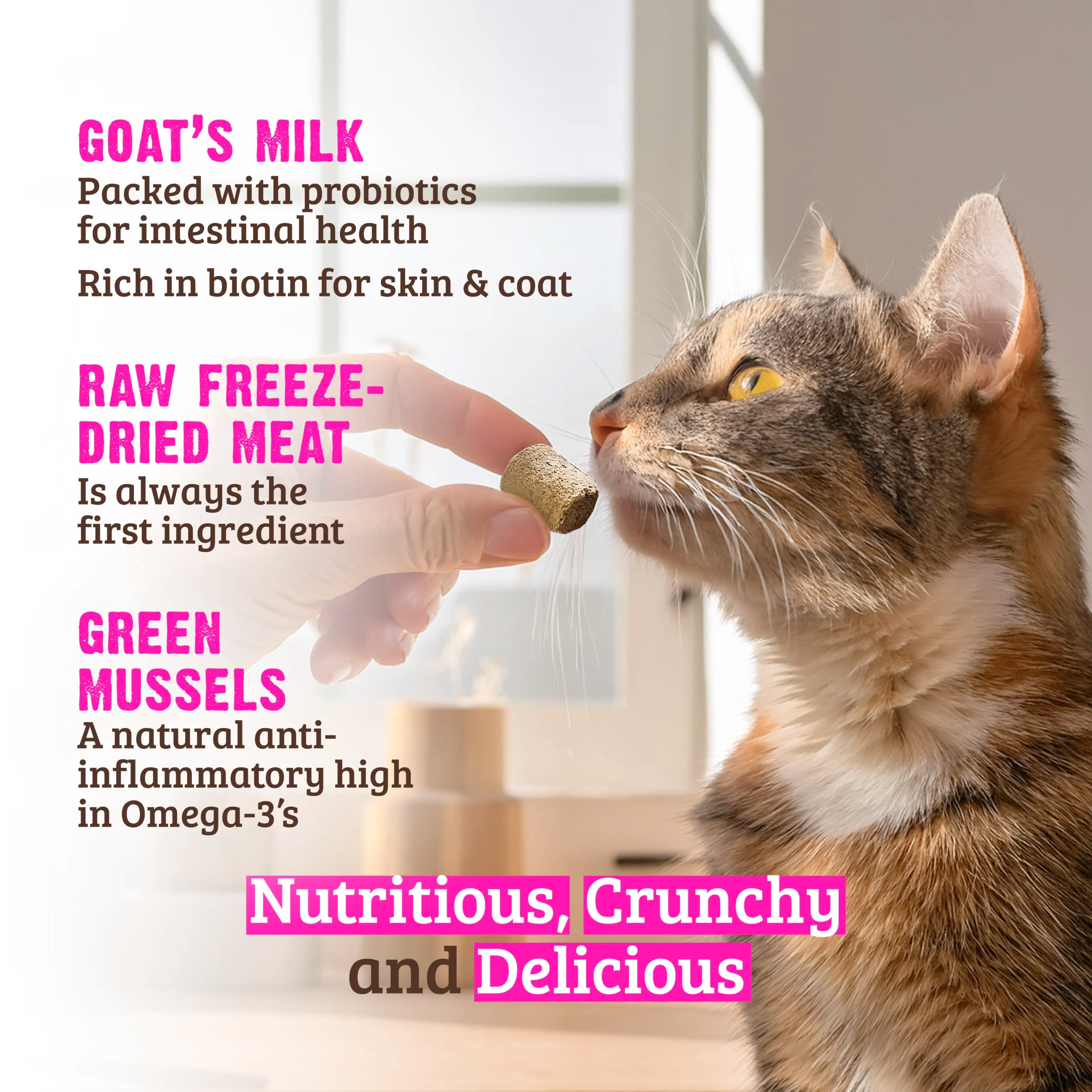 RAWZ - Raw Freeze Dried Salmon & Goat Milk (Cat Treat)