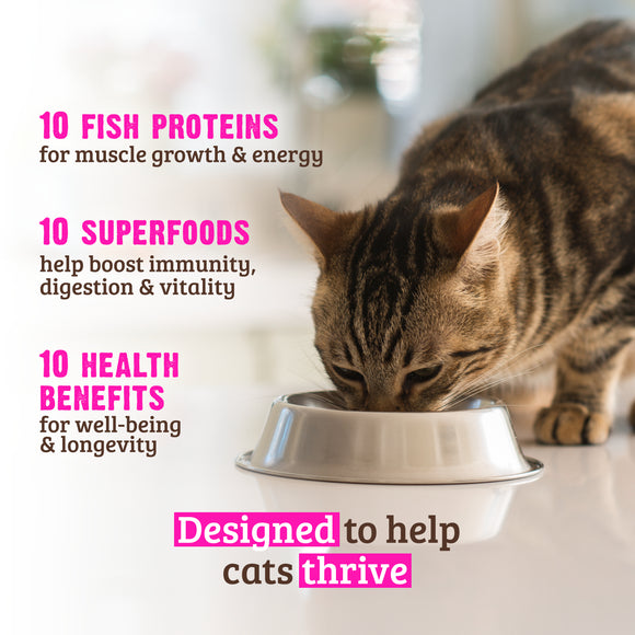 RAWZ 10+ Essentials Fish & Dehydrated Fish Recipe