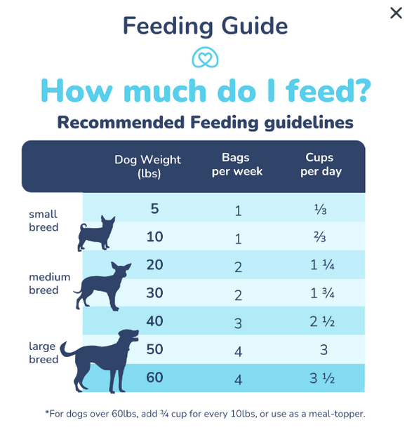 healthybud - Raw Freeze-Dried Beef Meal Bites (For Dogs)