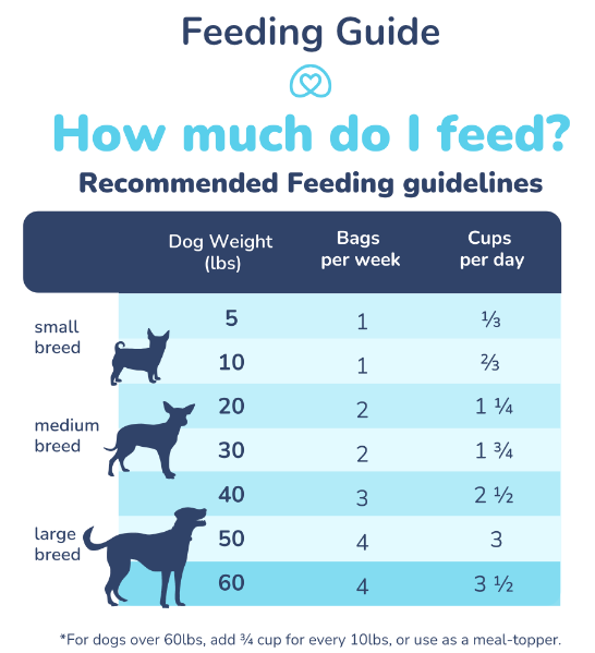 healthybud - Raw Freeze-Dried Turkey Meal Bites