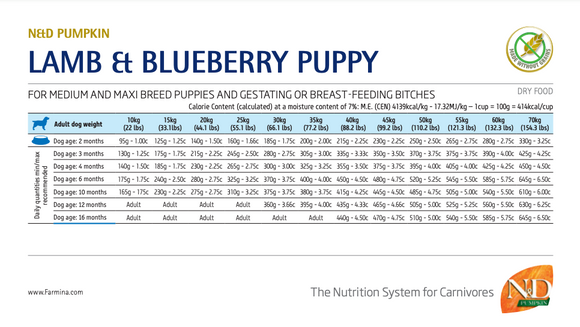 Farmina - N&D Pumpkin - Lamb, Blueberry & Pumpkin Med/Maxi (Dry Puppy Food)