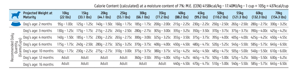Farmina - N&D Ancestral Grain - Lamb & Blueberry Medium & Maxi (Dry Puppy Food)