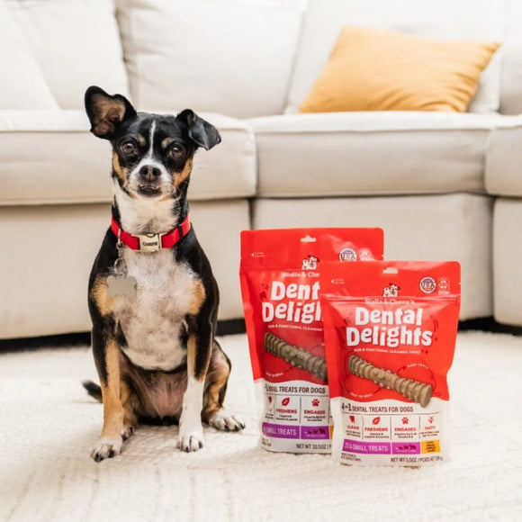 Stella & Chewy's - Dental Delights - Extra Small Chicken Parsley Flavor (For Dogs)