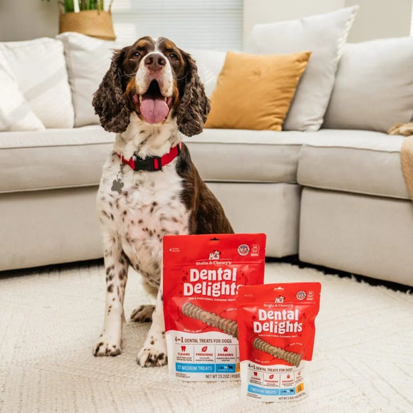 Stella & Chewy's - Medium Dental Delights Chicken Parsley Flavor (For Dogs)