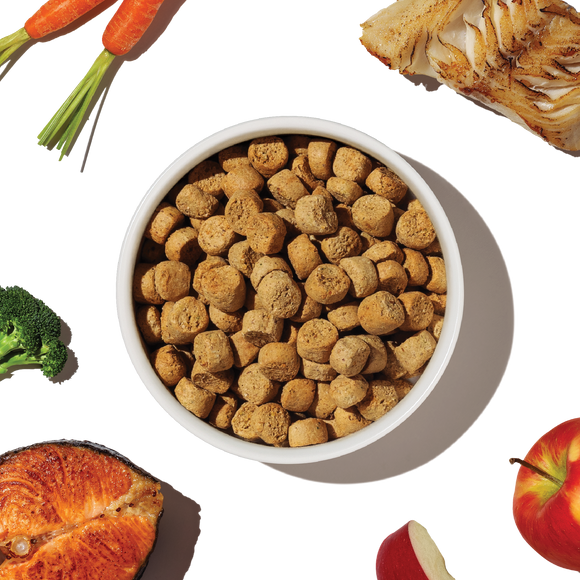 The Honest Kitchen Grain Free Salmon & Whitefish Whole Food Clusters clusters close-up