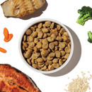 The Honest Kitchen Whole Grain Salmon & Whitefish Whole Food Clusters clusters close-up