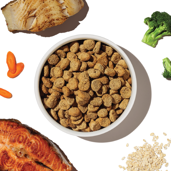 The Honest Kitchen Whole Grain Salmon & Whitefish Whole Food Clusters clusters close-up