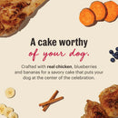 The Honest Kitchen - Birthday Cake Mix - Chicken & Blueberries (For Dogs)