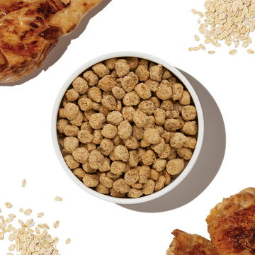 The Honest Kitchen - Essential Clusters - Whole Grain Chicken (Dry Dog Food)