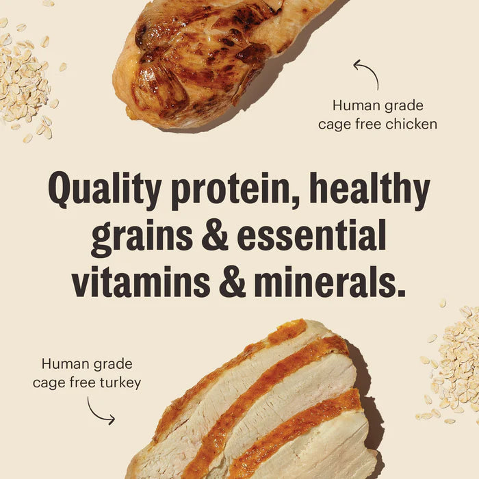 The Honest Kitchen - Essential Clusters - Whole Grain Turkey & Chicken (Dry Dog Food)
