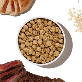 The Honest Kitchen - Essential Clusters - Whole Grain Turkey & Chicken (Dry Dog Food)