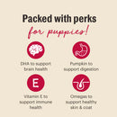 The Honest Kitchen - Meaty Littles for Puppies - Lamb & Salmon Treats 